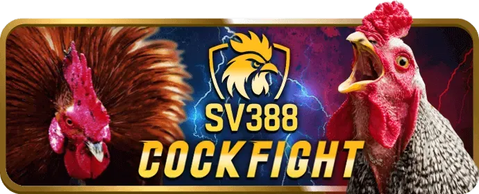 Ưu đãi cược miễn phí new66